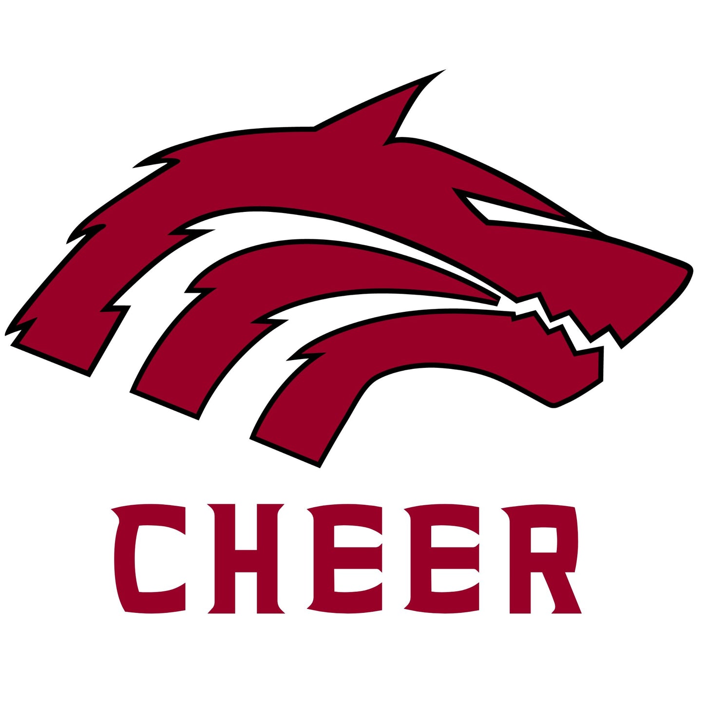 Walden Grove Cheerleading 2025 Package